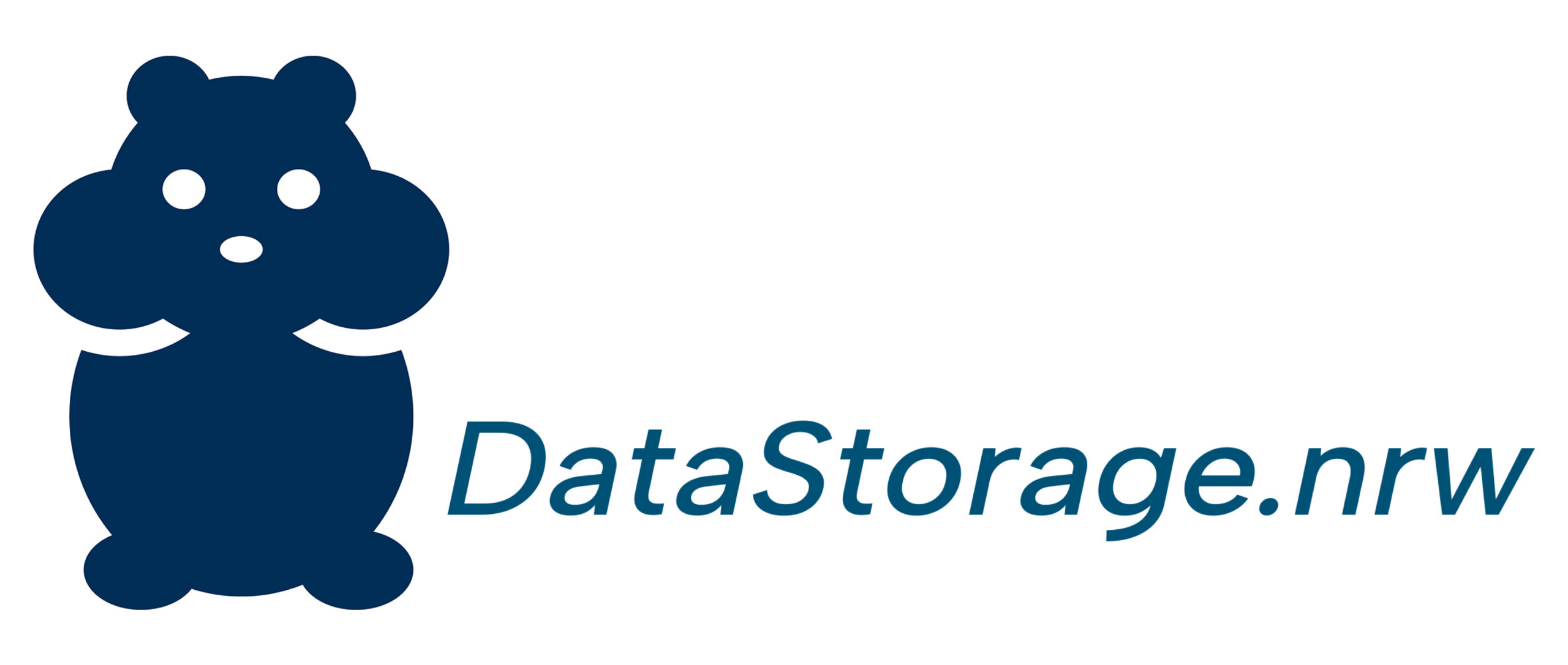 DataStorage.nrw Logo
